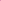 jb's ladies piping polo pink white