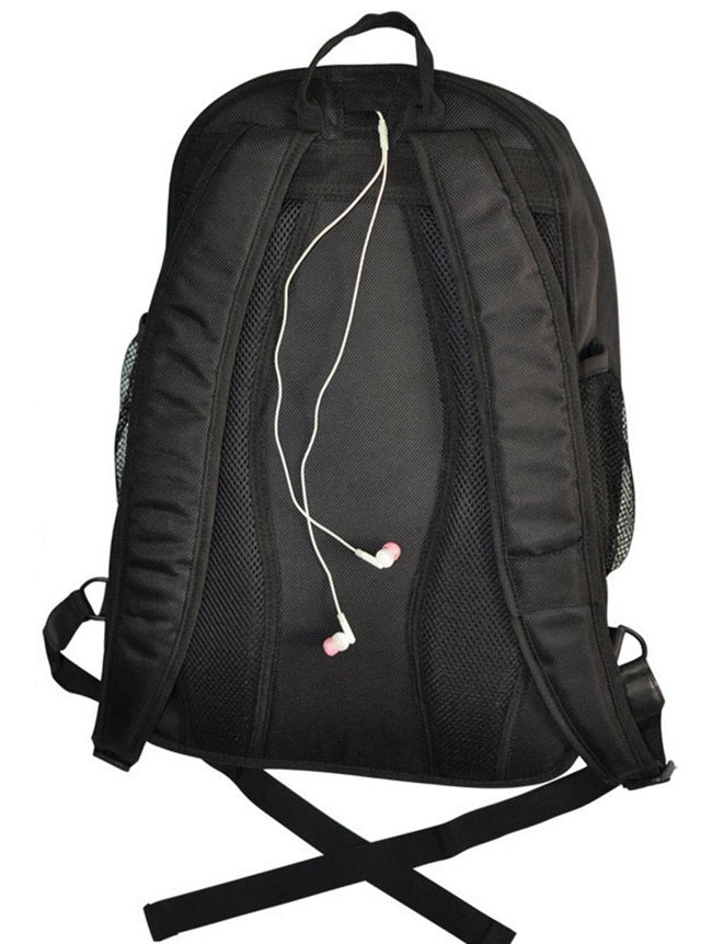 AIW Executive Backpack Back