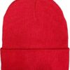 AIW Roll Up Rpet Beanie - Red